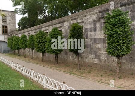 I visitatori passeggiano vicino a un antico muro di pietra a Istanbul, dove gli alberi rifilati creano un vibrante contrasto con l'architettura storica. Foto Stock