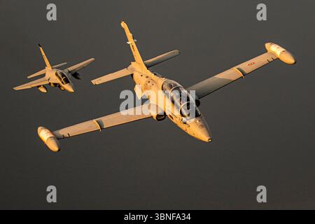 Il volo di formazione dell'Aermacchi MB-339CD (MM55080) e dell'Alenia Aermacchi T-346A Master (MM55220) dimostra le capacità di addestramento avanzate dell'Aeronautica militare. Il modello MB-339CD offre prestazioni eccezionali per l'addestramento tattico, mentre il T-346A è un addestratore all'avanguardia che migliora il programma di allenamento. Foto Stock