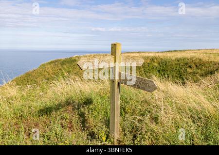 Cartello in legno sul sentiero pubblico di Headland Way, che indica Speeton, Flamborough e Bempton, una famosa passeggiata sulla scogliera sulla costa dello Yorkshire. Foto Stock