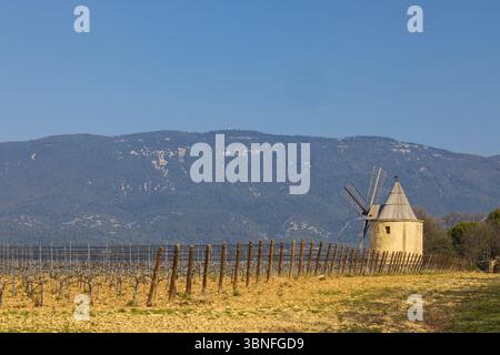 Mulino a vento accanto al vigneto con sfondo montano in Provenza, Francia Foto Stock