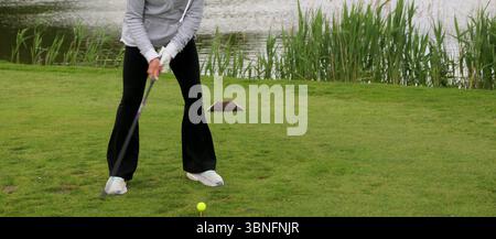 Un giocatore è pronto a fare un swing su un lussureggiante campo da golf. Foto Stock