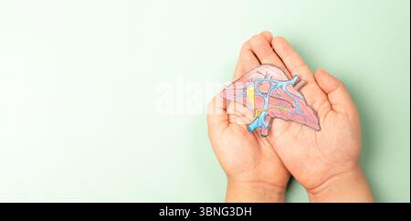 Fegato organo, epatite infezione malattia, diagnosi del cancro, cirrosi problema di salute, fegato grasso alcolico Foto Stock