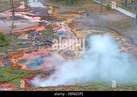 Vista aerea di una colorata area geotermica presso gli Artists Paintpots nel parco nazionale di Yellostone, Wyoming, Foto Stock
