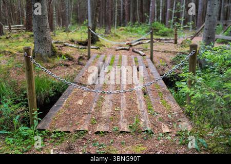 Un ponte privato in legno su un sentiero forestale, bloccato da catene per limitare l'accesso, che conduce in una fitta foresta. Foto Stock