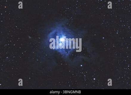 La nebulosa Iris (NGC 7023,Caldwell 4) è una nebulosa a riflessione luminosa nella costellazione Cefeo. Mappa stellare sfondi cielo notturno Foto Stock