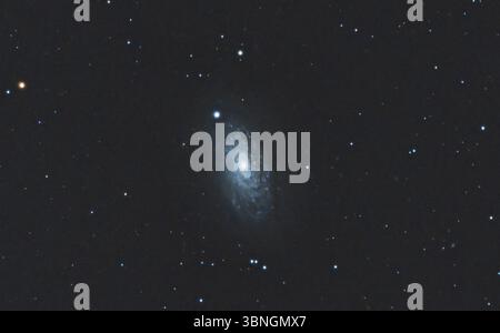 Galassia di girasole (Messier 63 o NGC 5055) una galassia a spirale nella costellazione settentrionale di Canes Venatici. Mappa stellare sfondi cielo notturno Foto Stock