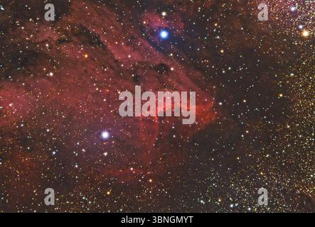 La Nebulosa Pelicana (IC 5070) è una regione H II associata alla Nebulosa del Nord America nella costellazione di Cygnus. Mappa stellare sfondi cielo notturno Foto Stock