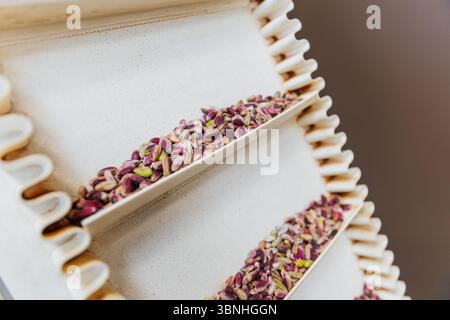 Vista orizzontale dei pistacchi secchi su un vassoio pronto per essere imballato in una struttura alimentare. Foto Stock