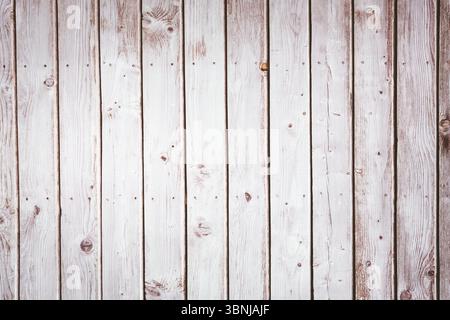 Tavole di legno bianche con design piatto, con grana verticale, nodi, fori per chiodi Foto Stock