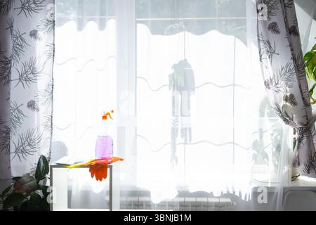 I prodotti per la pulizia dei cristalli sono appoggiati sul davanzale con uno straccio, uno spray e un detergente. Pulizia di primavera in casa, servizio di pulizia Foto Stock