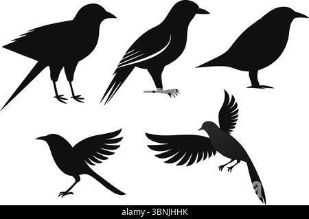 Flying Bird silhouette illustrazione vettoriale | gruppo di Black Wild Birds in Flight on White background per progetti di grafica naturalistica e Art Design Illustrazione Vettoriale