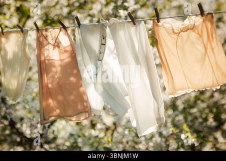 Vestiti appena lavati appesi su una linea di abbigliamento sotto la calda luce del sole, circondati dal verde. La leggera brezza influenza i capi, evocando un senso Foto Stock