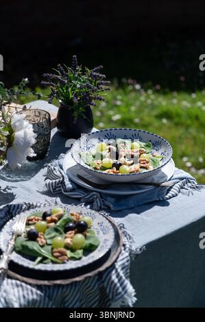 Un'insalata vivace con lattuga fresca di agnello, uva succosa, anacardi croccanti e noci, servita elegantemente all'aperto in una giornata di sole circondata da un lu Foto Stock