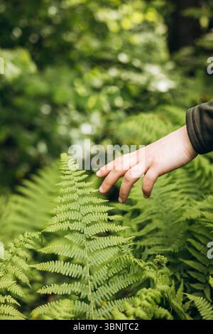 Una mano raggiunge delicatamente una felce verde vivace, adagiata su un lussureggiante sfondo naturale. L'ambiente fresco e sereno mette in risalto il delicato essere Foto Stock