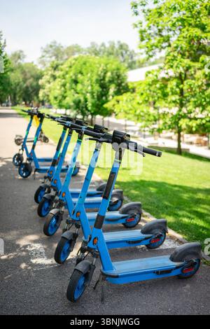 Una fila di scooter elettrici blu ordinatamente allineati su un percorso cittadino, che rappresentano le moderne opzioni di trasporto alternative in ambienti urbani in mezzo all'avidità Foto Stock