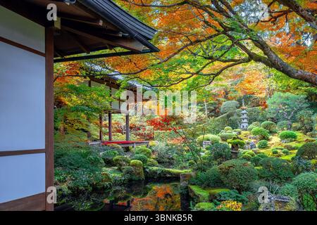 Kyoto, Giappone - 17 novembre 2024: Tempio di Sanzen-in con un colorato giardino autunnale a Ohara, a nord di Kyoto Foto Stock