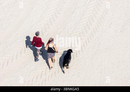 Due donne, madre e figlia, che camminano con un cane su una spiaggia sabbiosa e si divertono insieme in una giornata di sole. Spazio di copia, vista ad angolo alto Foto Stock