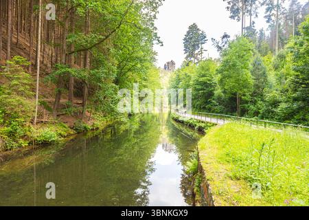 Sentiero panoramico nella foresta che conduce al famoso ponte Bastei nella Svizzera sassone, in Germania. Circondato da vegetazione lussureggiante, scogliere di arenaria e una piccola diga, Foto Stock