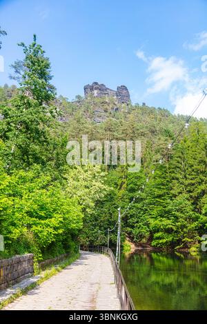 Sentiero panoramico nella foresta che conduce al famoso ponte Bastei nella Svizzera sassone, in Germania. Circondato da vegetazione lussureggiante, scogliere di arenaria e una piccola diga, Foto Stock