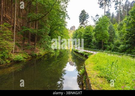 Sentiero panoramico nella foresta che conduce al famoso ponte Bastei nella Svizzera sassone, in Germania. Circondato da vegetazione lussureggiante, scogliere di arenaria e una piccola diga, Foto Stock