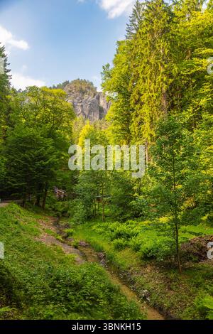 Sentiero panoramico nella foresta che conduce al famoso ponte Bastei nella Svizzera sassone, in Germania. Circondato da vegetazione lussureggiante, scogliere di arenaria e una piccola diga, Foto Stock