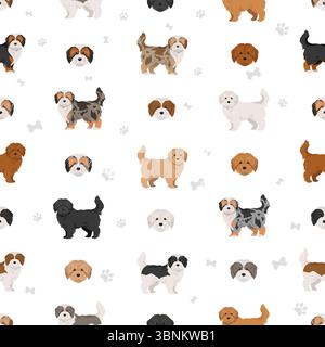 Maltipoo clipart. Mix di barboncino maltese. Set di colori diversi per il rivestimento. Illustrazione vettoriale Illustrazione Vettoriale