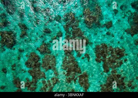 Struttura della barriera corallina, mare turchese, ripresa aerea: Vibrante vista da droni delle acque turchesi poco profonde che rivelano formazioni coralline sotto la superficie. Una natura Foto Stock