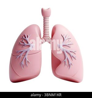 Polmoni con rendering 3D minimalista in un rendering morbido e uniforme Foto Stock