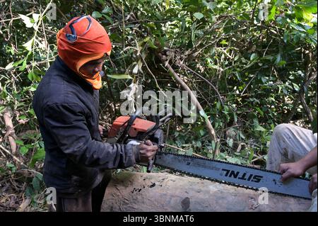 LAO PDR, provincia di Salawan, deforestazione, taglio di alberi con motosega tedesca STIHL con doppia lama cinese Sitnl / LAOS, Provinz Salavan, Entwaldung, fällen von Bäumen Foto Stock
