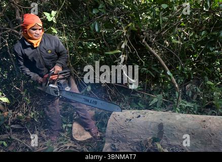 LAO PDR, provincia di Salawan, deforestazione, taglio di alberi con motosega tedesca STIHL con doppia lama cinese Sitnl / LAOS, Provinz Salavan, Entwaldung, fällen von Bäumen Foto Stock
