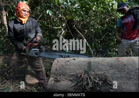 LAO PDR, provincia di Salawan, deforestazione, taglio di alberi con motosega tedesca STIHL con doppia lama cinese Sitnl / LAOS, Provinz Salavan, Entwaldung, fällen von Bäumen Foto Stock