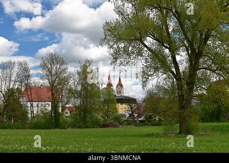 Prato Schloss-Asch con vista sul castello di Asch e sulle torri della chiesa di San Kastulus e San Johannes, Moosburg an der Isar, alta Baviera Foto Stock