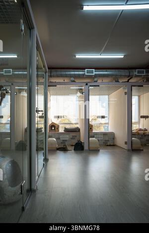 Il gatto solitario aspetta i proprietari in una camera d'albergo. Pensione per animali, cura degli animali, ospitalità e riparo Foto Stock