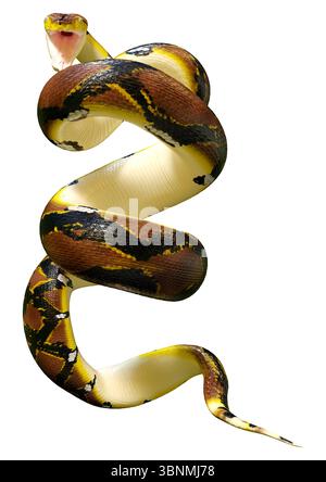 Rendering 3D di un pitone reticolato o reticulatus di Python, una specie di pitone che si trova nel sud-est asiatico Foto Stock