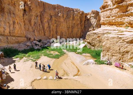 Canyon nella valle del fiume Oued nell'oasi di montagna di Tamerza, Tunisia Foto Stock