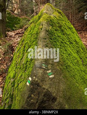 Grande masso muschiato contrassegnato da cartelli escursionistici in un ambiente forestale Foto Stock