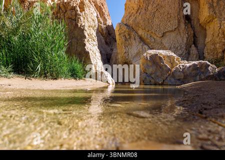 Oasi di montagna di Chebika con gola primaverile nell'Atlante del Sahara, Tunisia Foto Stock