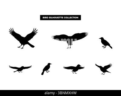 Sagome vettoriali di alta qualità in varie posizioni, volando, riposando e arroccato. Ideale per loghi, t-shirt, poster e design a tema naturale Illustrazione Vettoriale
