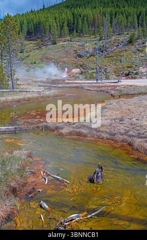 Corrente d'acqua calda che scorre da un geyser bollente nel parco nazionale di Yellowstone nel Wyoming Foto Stock
