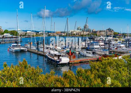 Porto interno con barche a Victoria, Canada Foto Stock