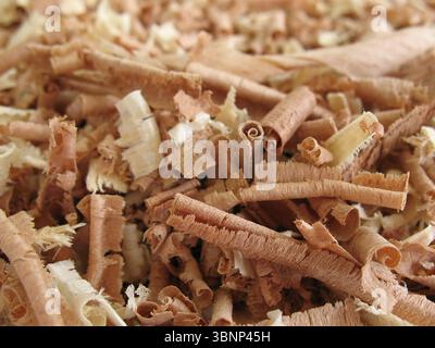 Primo piano di trucioli di legno marrone e biancastro. Foto Stock