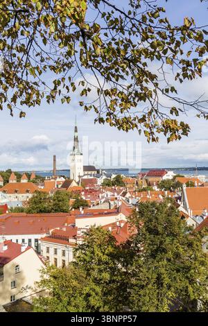 Paesaggio urbano di Talinn, capitale dell'Estonia Foto Stock