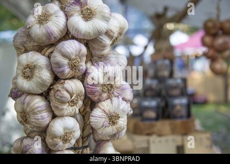 Stringa intrecciato di aglio biologico sul mercato Foto Stock