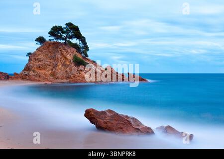 Spiaggia di Cap Roig, Calonge, Girona, Spagna Foto Stock