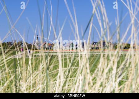 Vista sul villaggio Den Hoorn, un piccolo villaggio sulle isole wadden, Texel, Paesi Bassi, Den Hoorn Texel, Nederland Foto Stock