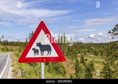 Segnaletica stradale per pecore lungo la strada in Norvegia. Attenzione alle pecore, Gol, Noorwegen Foto Stock