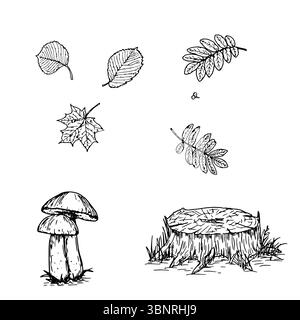 Ceppo sul bordo della foresta in erba, foglie di alberi e funghi, schizzi in bianco e nero. Illustrazione vettoriale. Insieme di piante autunnali ed estive, isolare Illustrazione Vettoriale