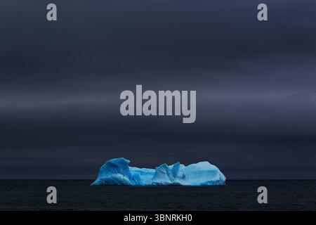 Iceberg che galleggia al largo del porto di Yankee in Antartide. Foto Stock