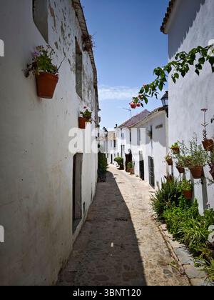 Strade bianche con vasi di fiori a Castellar de la Frontera, Cadice, Spagna Foto Stock