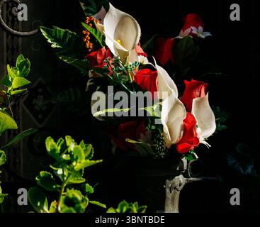 Eleganti gigli di calla e rose rosse in un giardino illuminato dal sole. Foto Stock